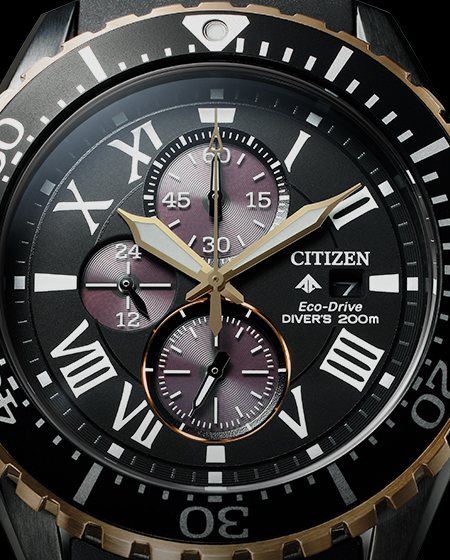 PROMASTER CA0716-19E image03