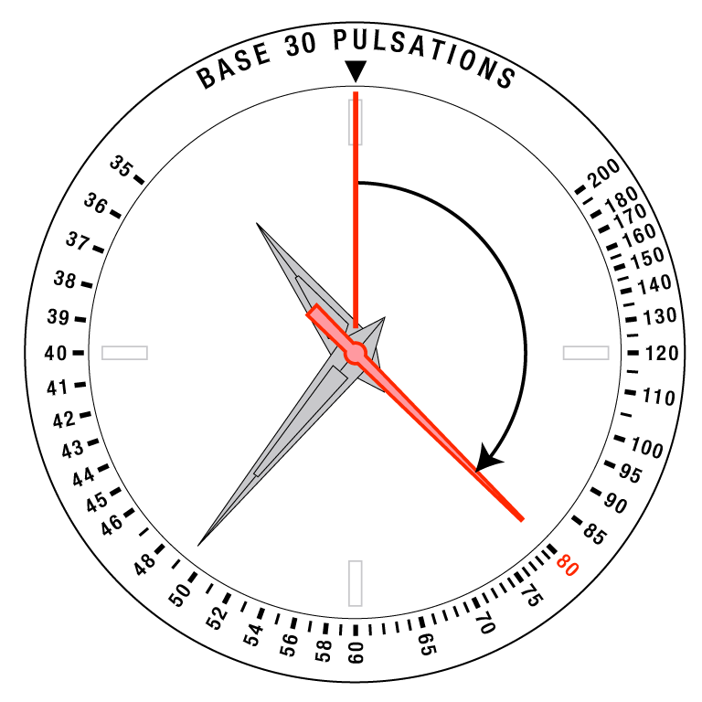 Example of the 30-pulse counting type