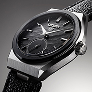 citizen watch co