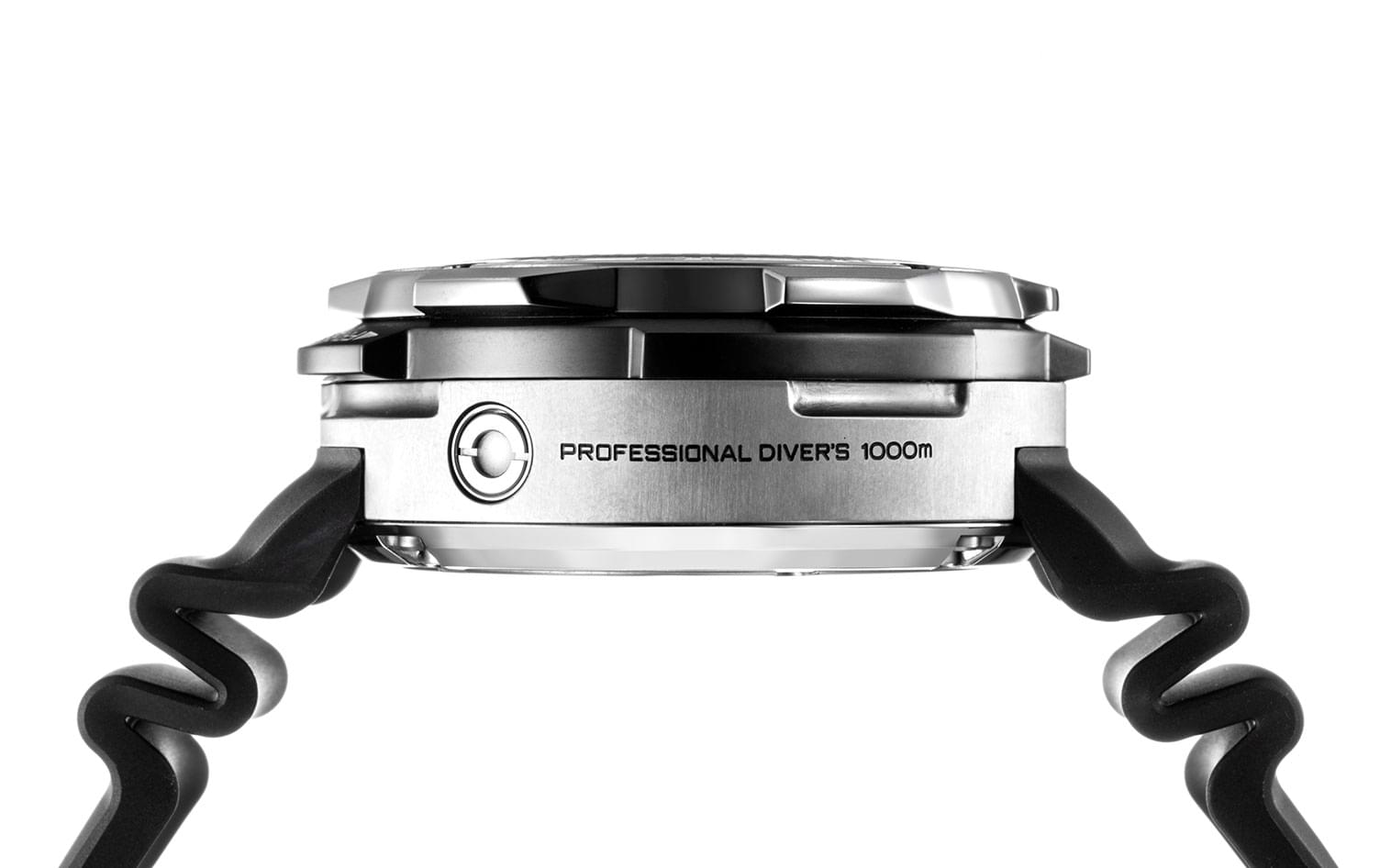 citizen professional diver