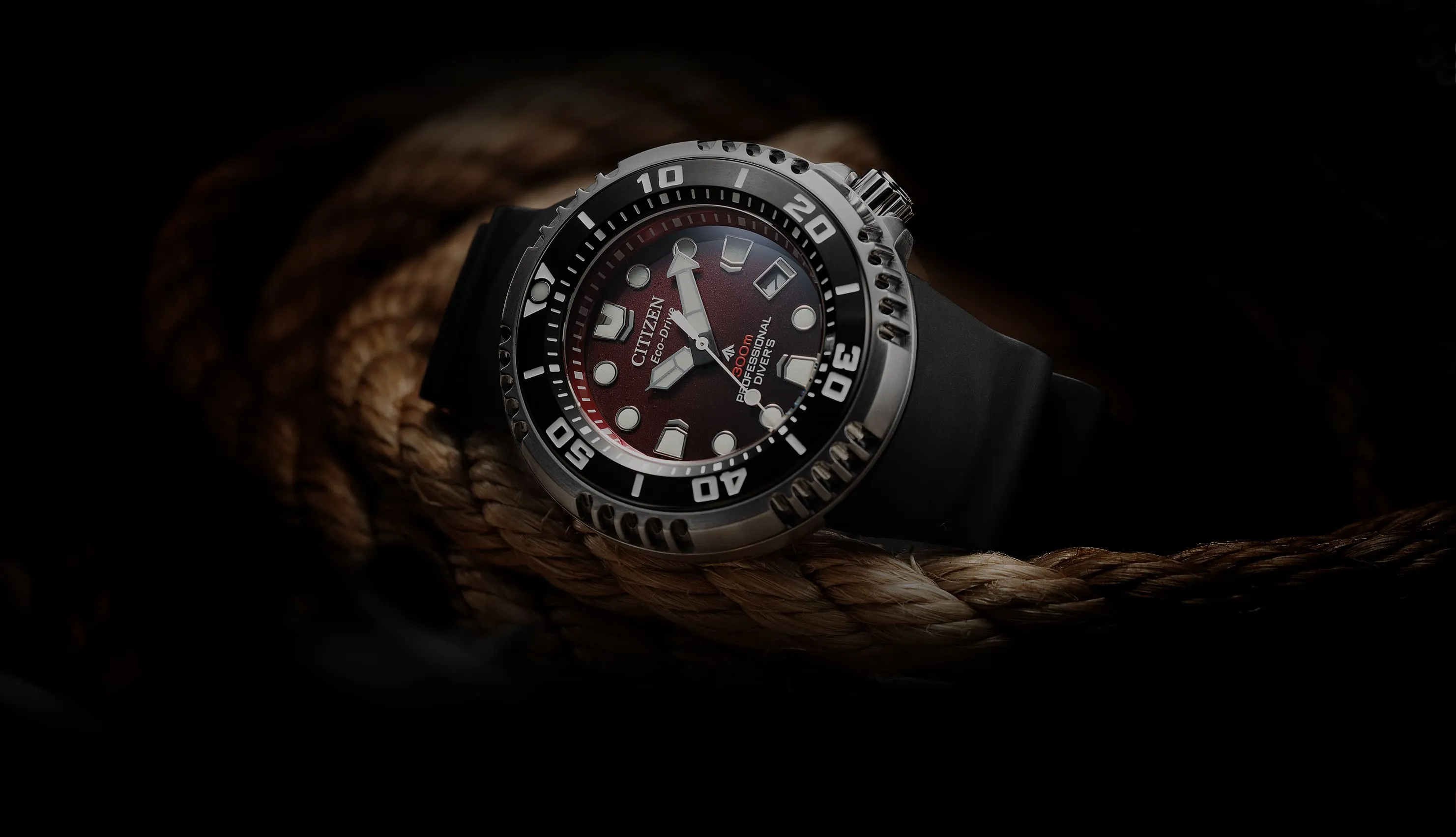 Promaster 300 PROMASTER | MARINE Eco-Drive Professional Diver 300m | WatchinTyme