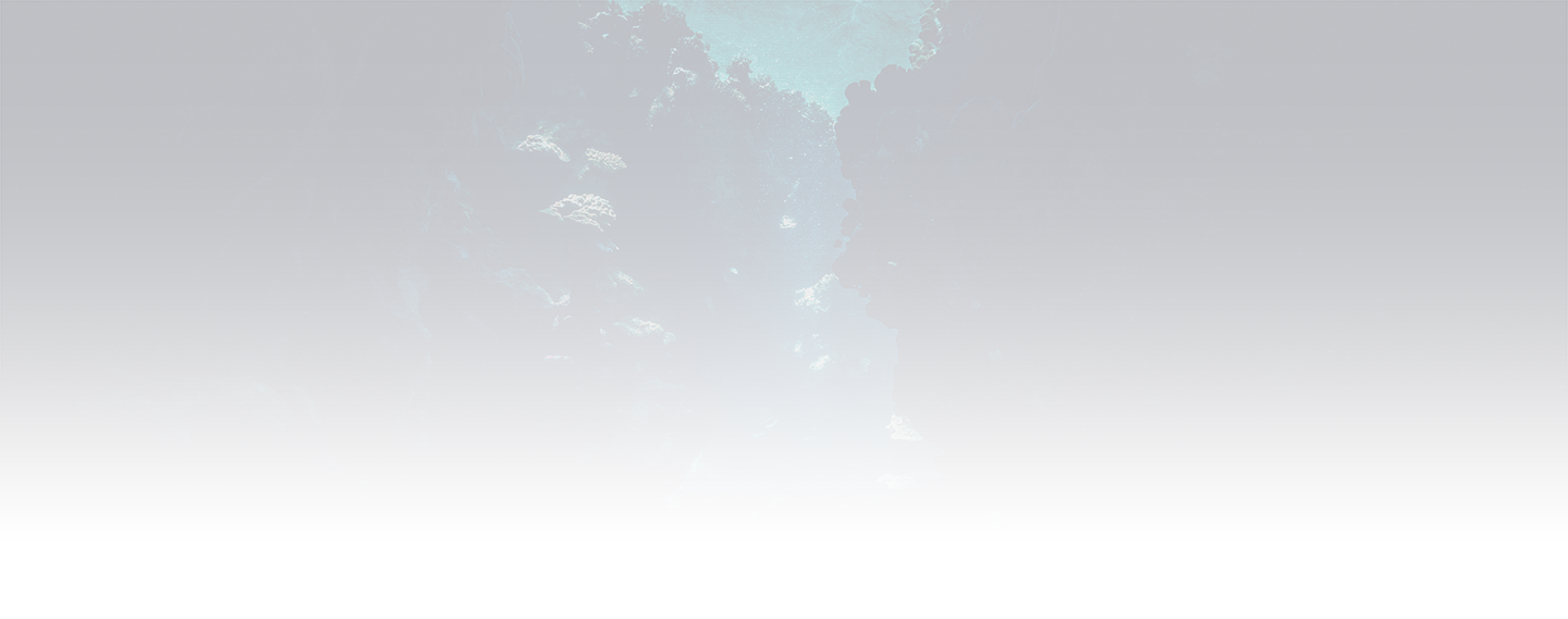 MECHANICAL DIVER 200m