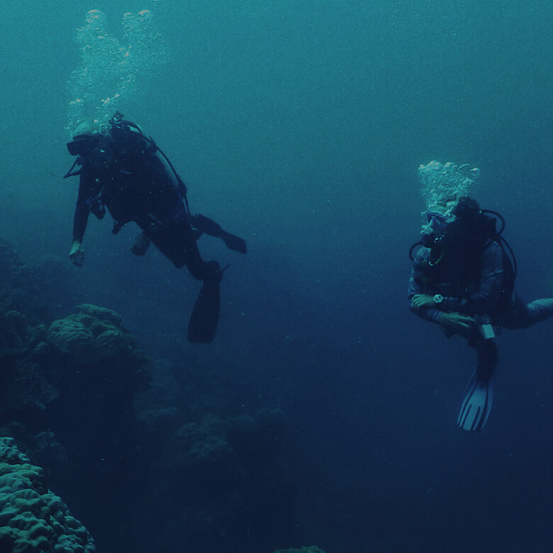 THE OCEANS ARE DYING MARINE SCIENTISTS FIGHT BACK