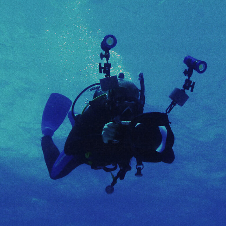 A BETTER FUTURE CAN BE BORN. FROM THE OCEAN. STARTING NOW.