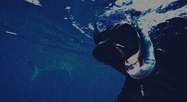 GONZALO ARAUJO, Ph.D.