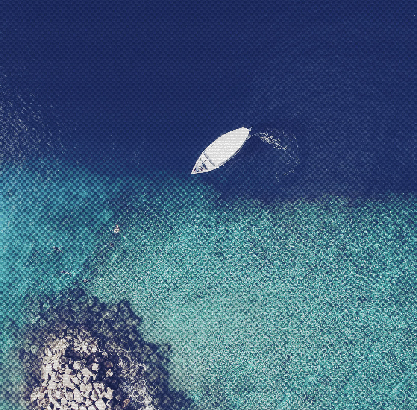 Promoting sustainable shark diving