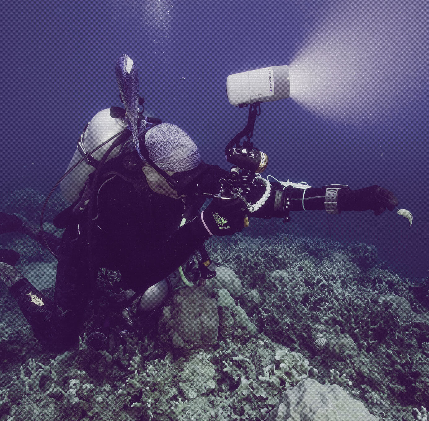 Conservation International