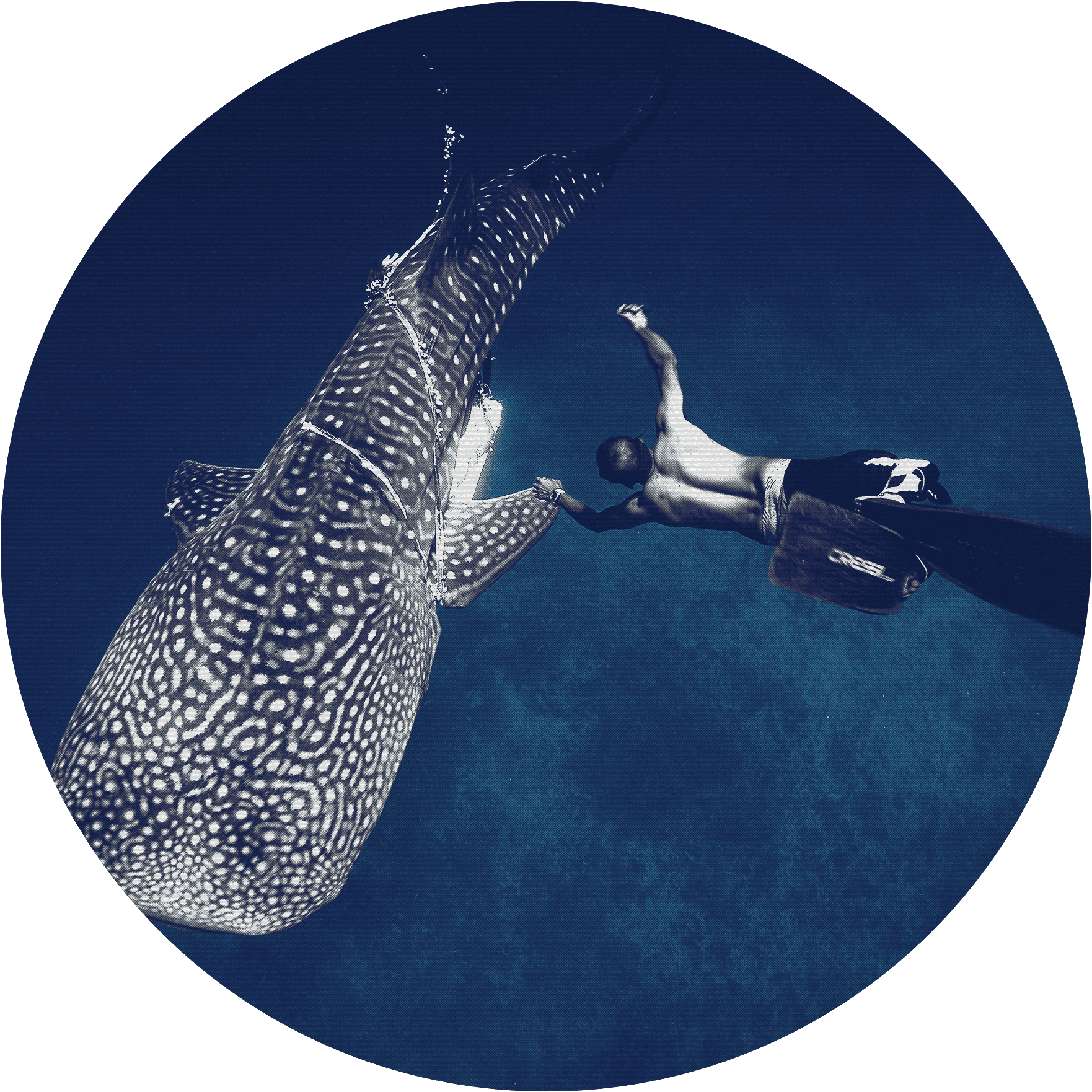 AHMED NASHEED“LONU”