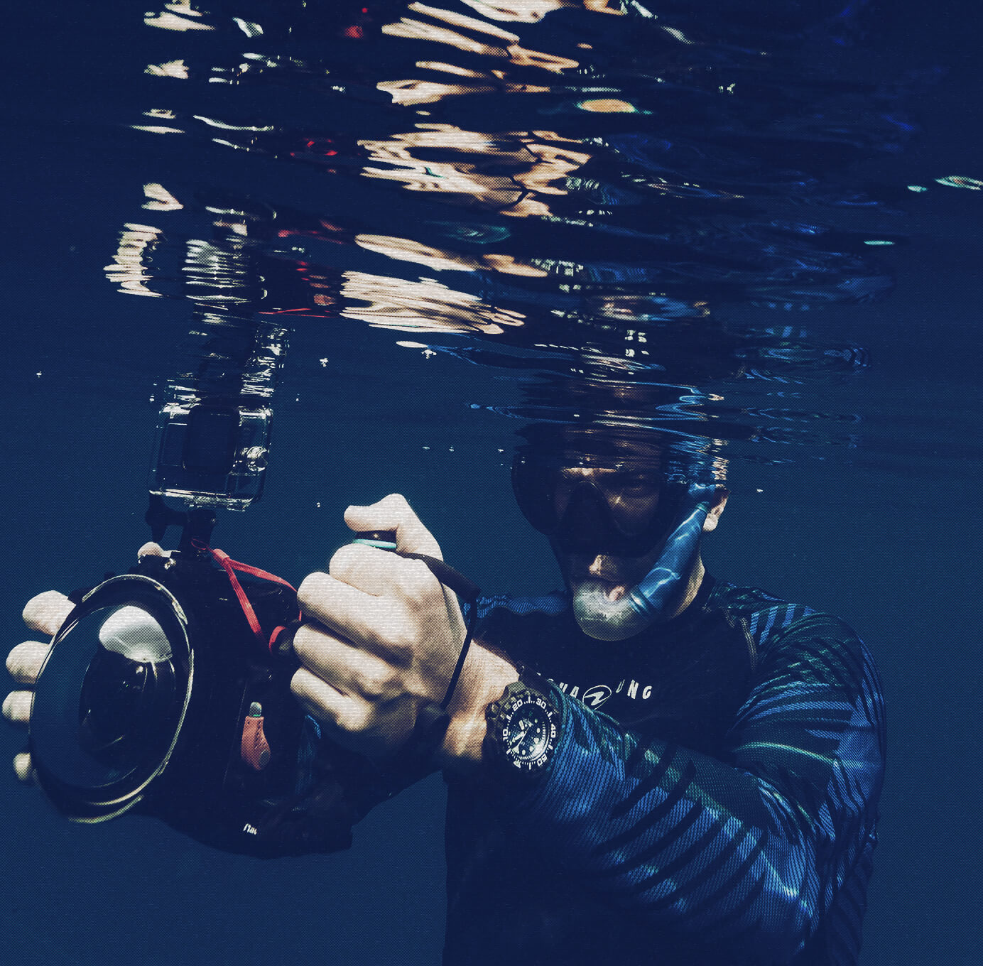 We work with NGOs, governments, local communities, and academia to address ocean conservation challenges.