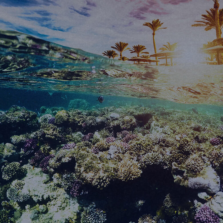 SHARM EL-SHEIKH EGITTO