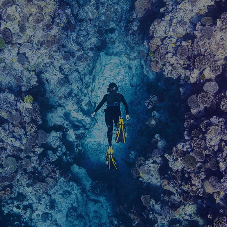 LA GRANDE BARRIERA CORALLINA AUSTRALIANA