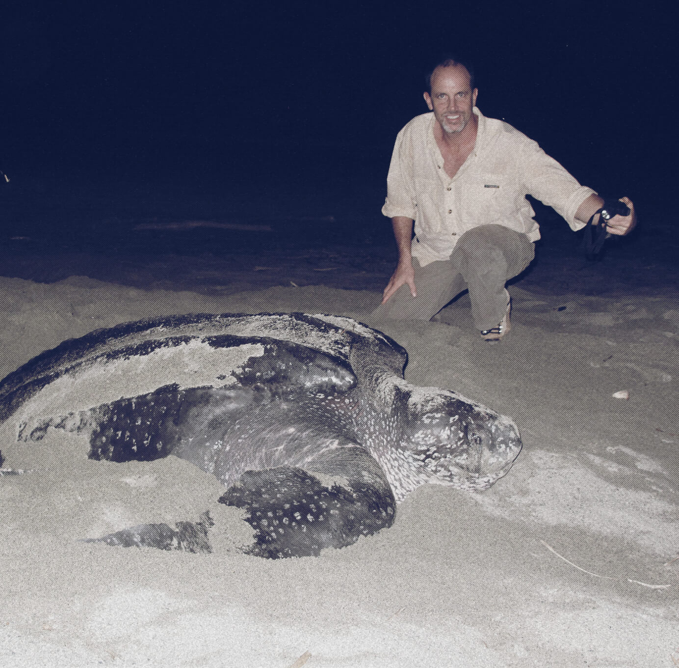 What we as individuals can do to help save the oceans