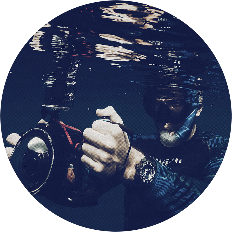 GONZALO ARAUJO, Ph.D.